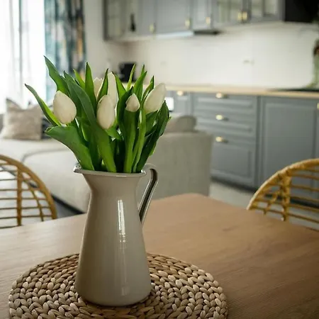 Botanic View ,relaxing&cozy Τιμισοάρα